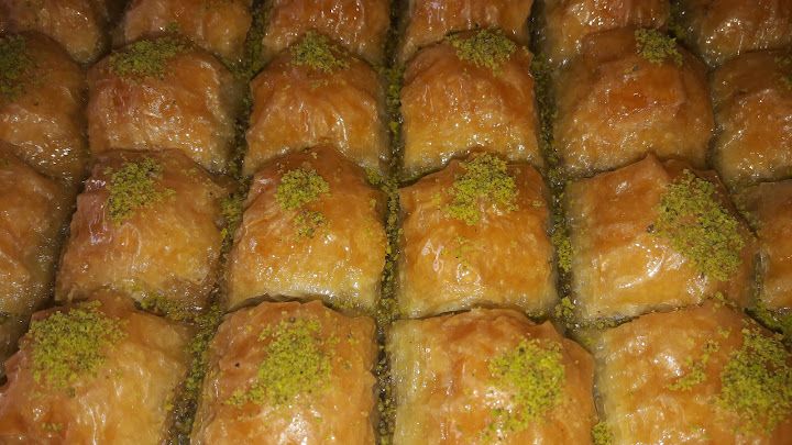 Fotoğraf 17