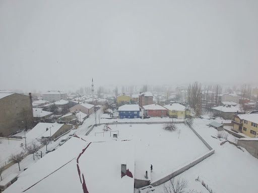 Yorum fotoğrafı 6