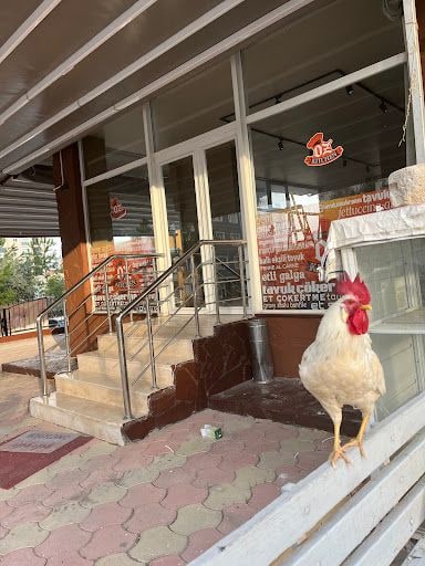 Yorum fotoğrafı 5