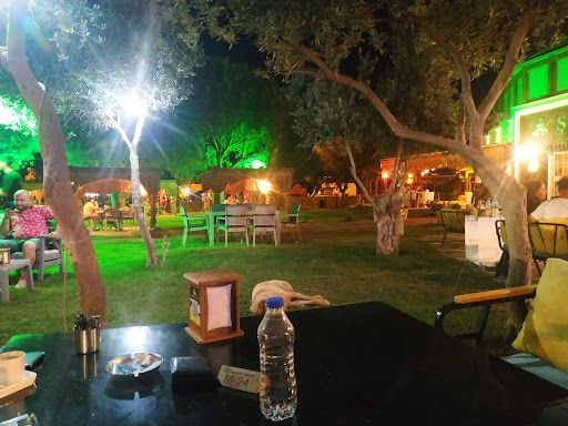 Fotoğraf 13