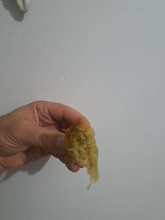 Fotoğraf 15