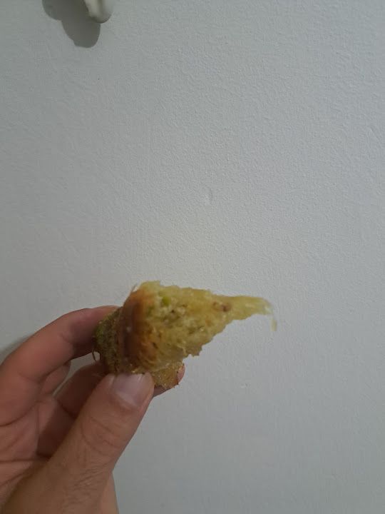 Fotoğraf 16