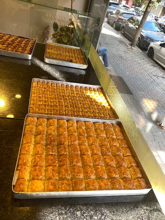 Fotoğraf 11