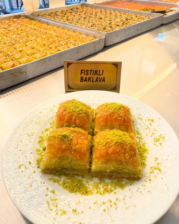 Fotoğraf 13