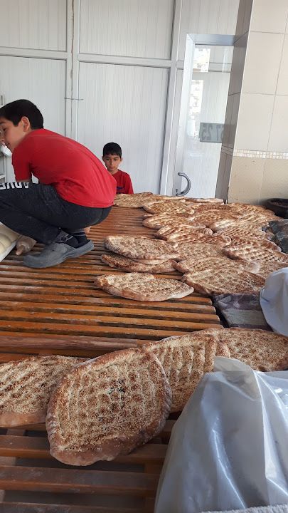 Fotoğraf 11