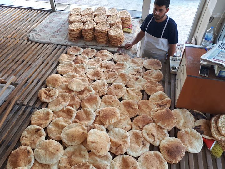 Fotoğraf 15