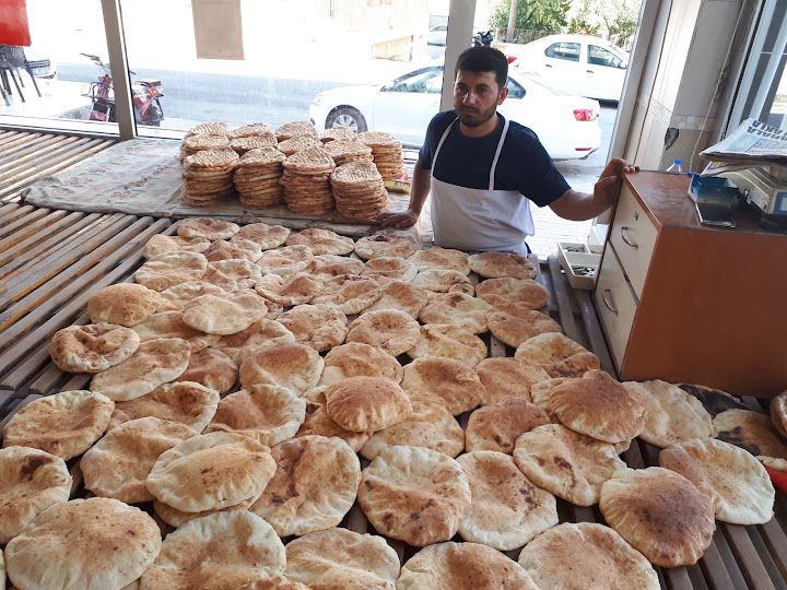 Fotoğraf 16