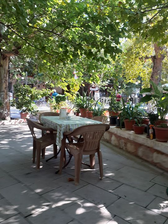 Fotoğraf 56