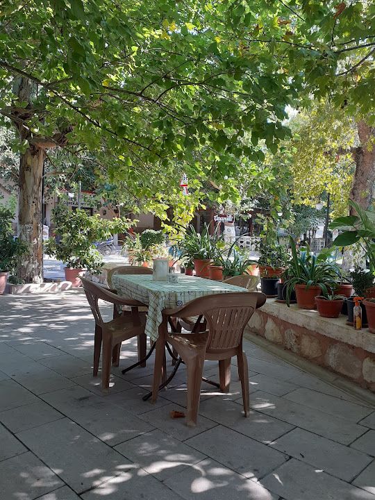 Fotoğraf 55