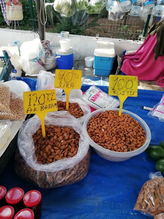 Fotoğraf 11