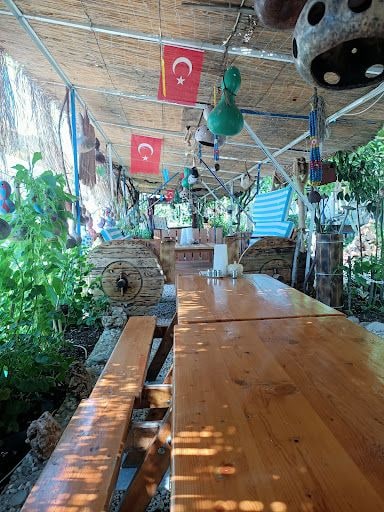 Yorum fotoğrafı 2