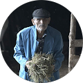 özcan karayiğit
