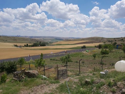 Yorum fotoğrafı 5