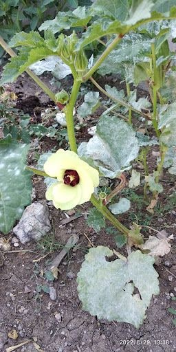 Yorum fotoğrafı 5