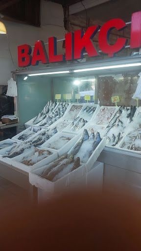 Yorum fotoğrafı 5