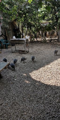 Yorum fotoğrafı 4
