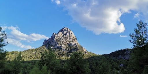 Yorum fotoğrafı 7