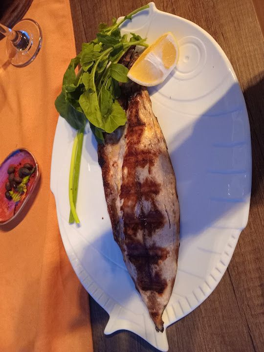 Fotoğraf 14