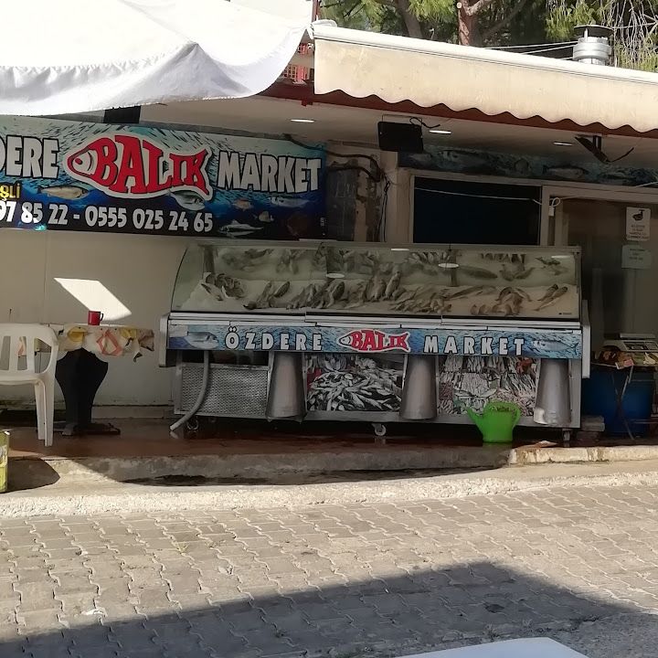Fotoğraf 13