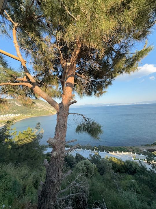 Yorum fotoğrafı 4