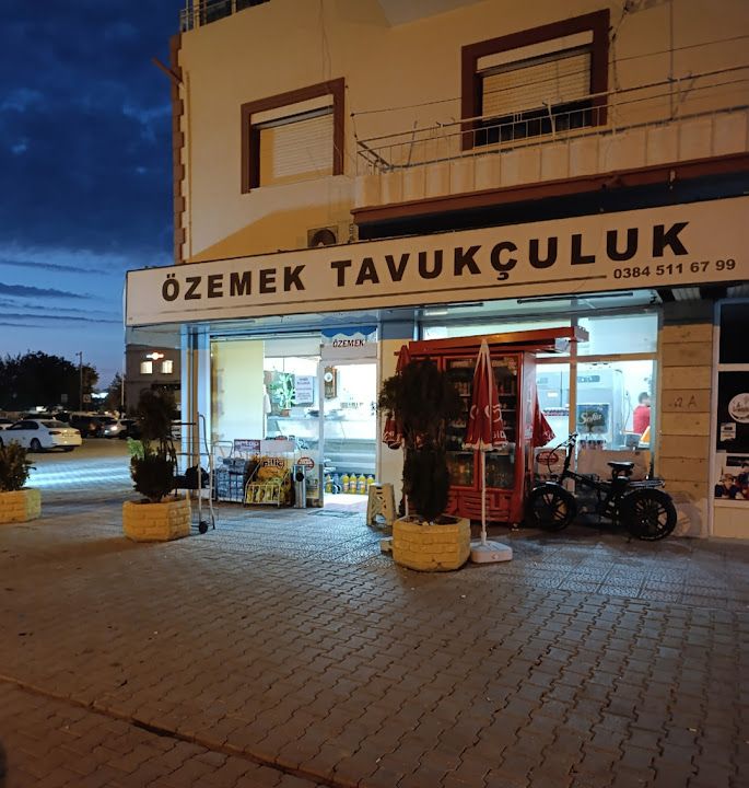 Fotoğraf 15
