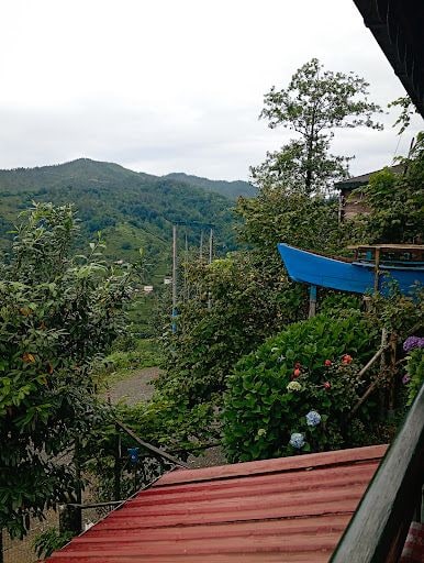 Fotoğraf 12