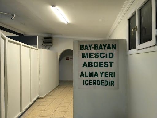 Yorum fotoğrafı 6