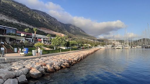 Yorum fotoğrafı 2