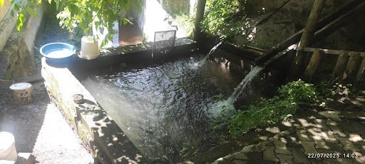 Fotoğraf 44