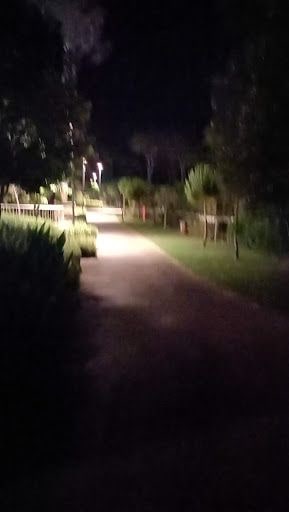 Yorum fotoğrafı 10