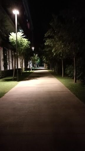 Yorum fotoğrafı 7