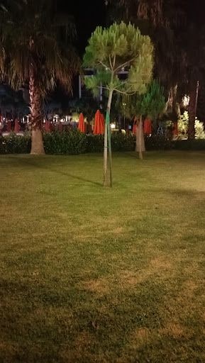 Yorum fotoğrafı 8
