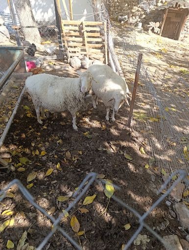 Yorum fotoğrafı 5
