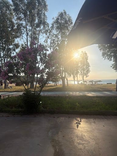 Fotoğraf 13