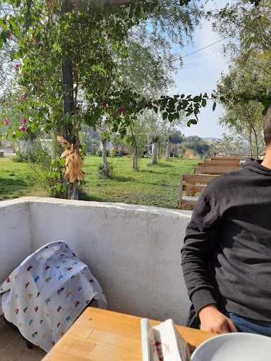 Fotoğraf 36