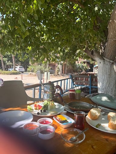Fotoğraf 14