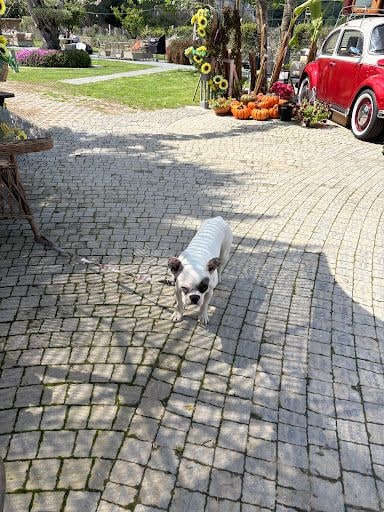 Yorum fotoğrafı 5