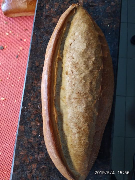 Fotoğraf 24