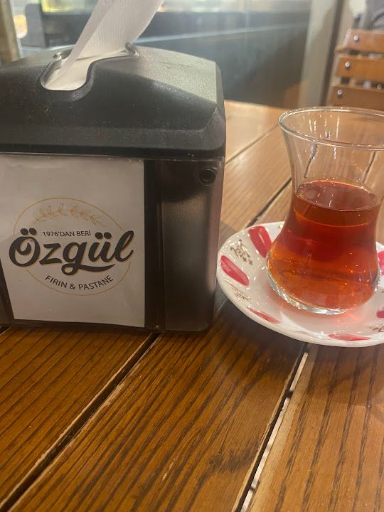Fotoğraf 17