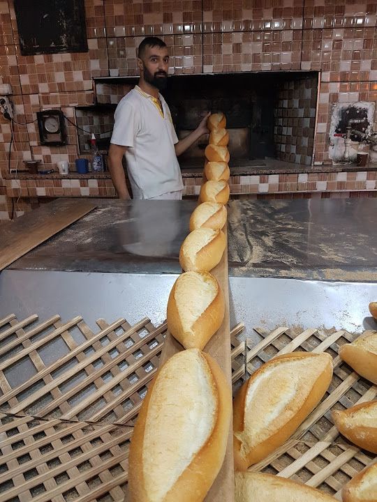 Fotoğraf 11
