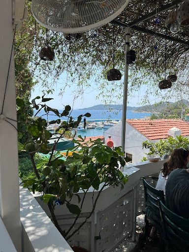 Yorum fotoğrafı 2
