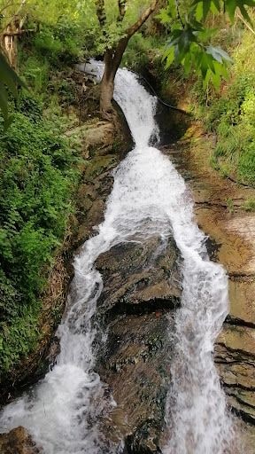 Fotoğraf 13