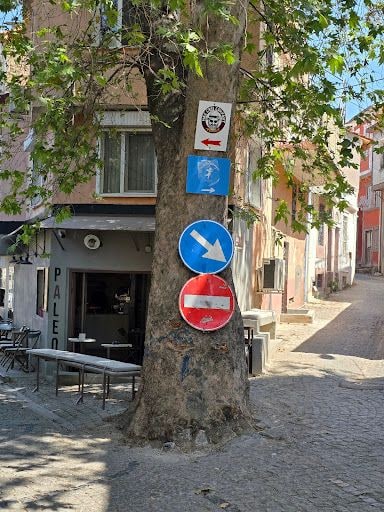 Fotoğraf 19