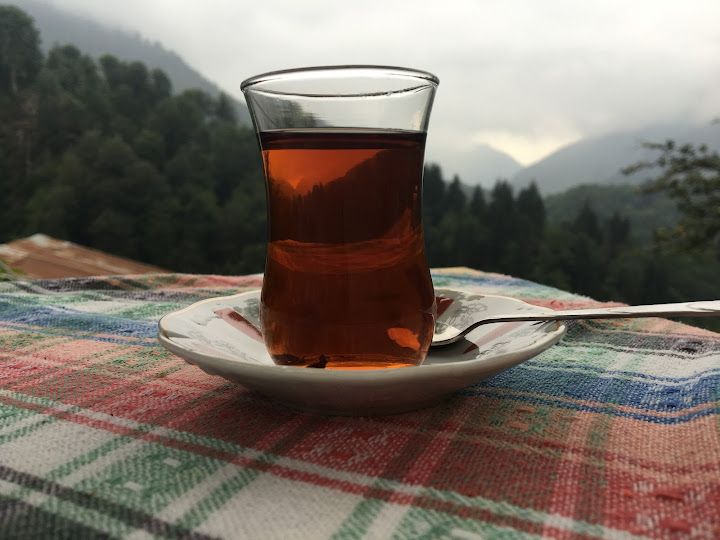 Fotoğraf 14