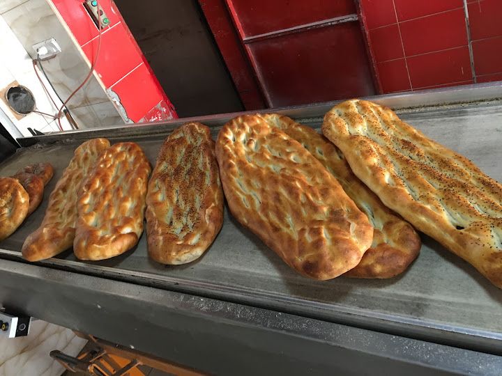 Fotoğraf 12