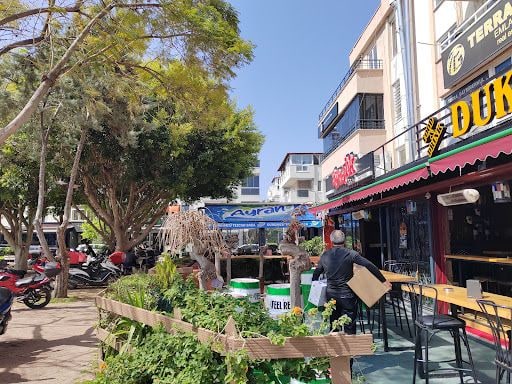 Fotoğraf 11