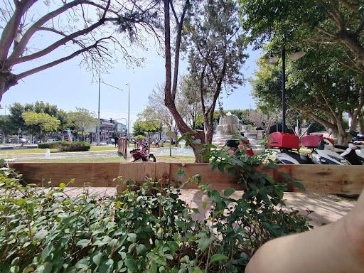 Fotoğraf 12