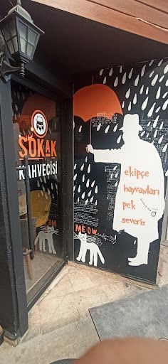 Yorum fotoğrafı 5