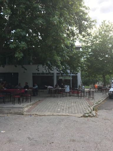 Yorum fotoğrafı 4