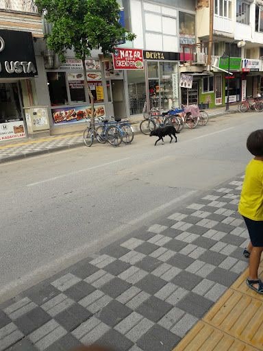 Yorum fotoğrafı 1